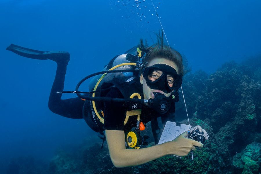 A diving supervisor is essential&nbsp;