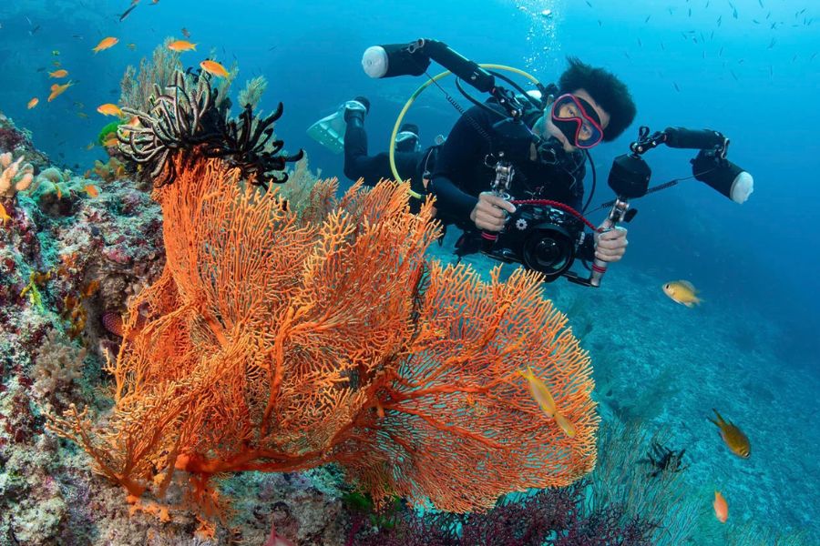 Thailand Bans Underwater Cameras on Deep Dives