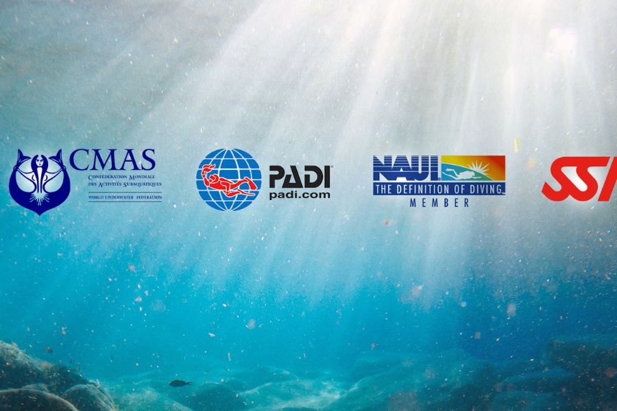 Certifications from PADI, SSI, NAUI, or CMAS