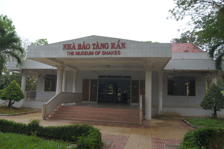 Dong Tam Snake Museum is the first and only snake museum in Vietnam