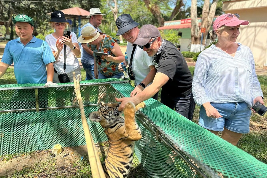 There are also plenty of wild animals for you to interact with