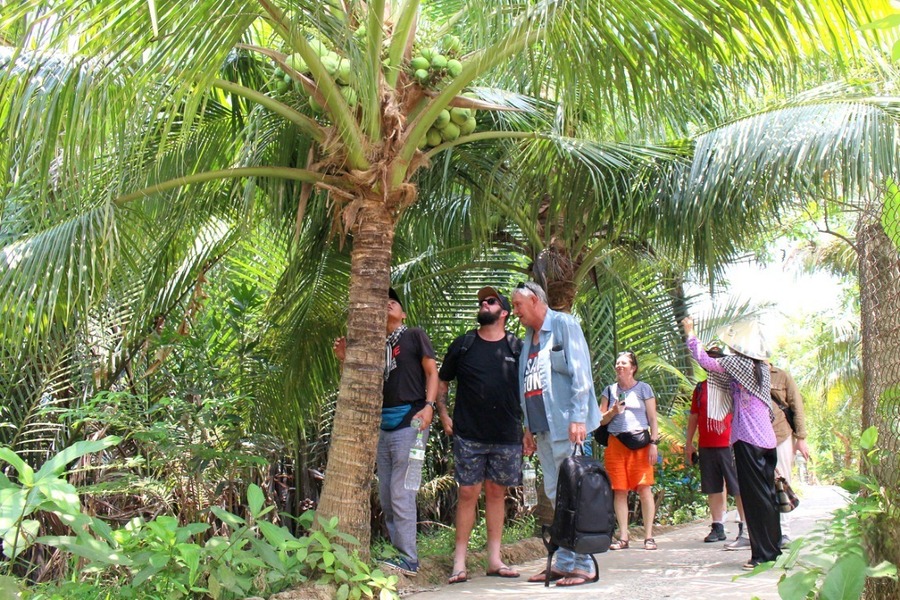 Admire the lush orchards heavy with fruit