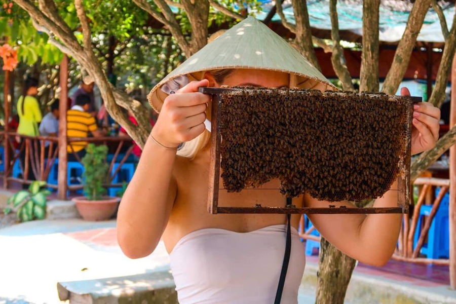 Touch a beehive with your own hands