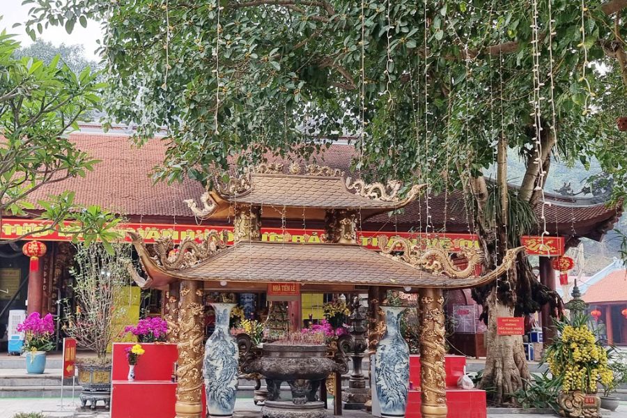 Spiritual Rituals in Thuong Temple
