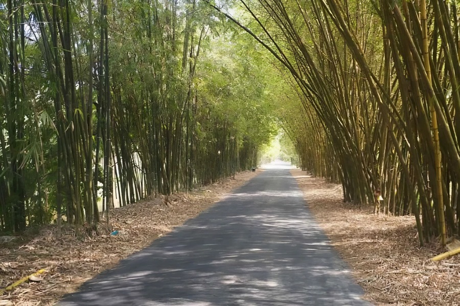  The road to the tourist area