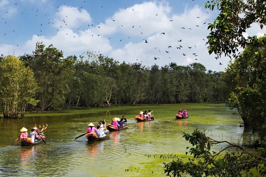 A majestic scene with melaleuca forests all around and flocks of birds soaring overhead