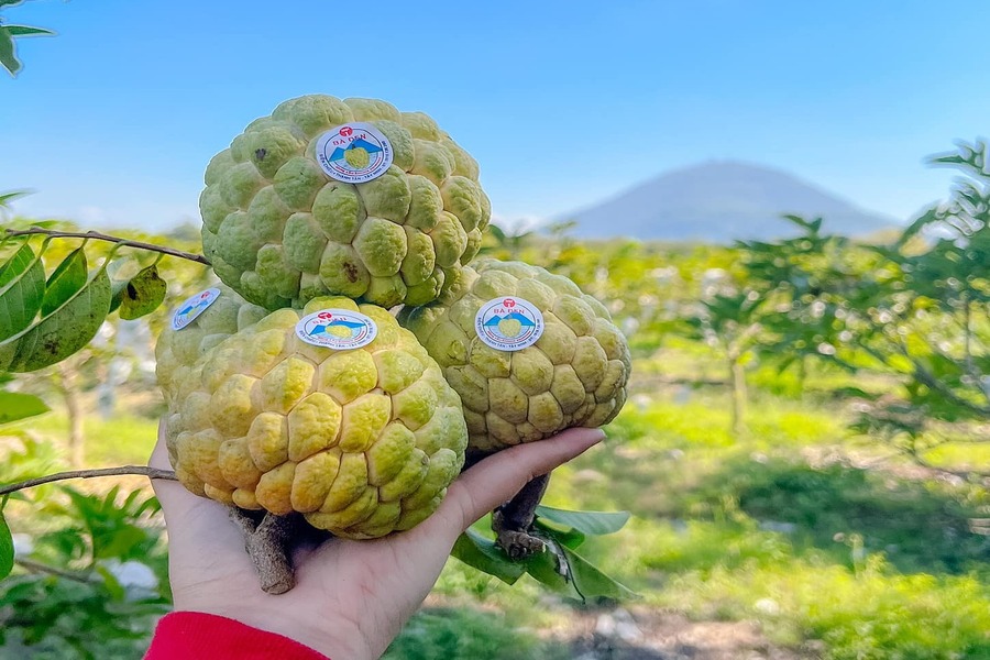 You may have never tried this fruit before, but trust us, it’s absolutely delicious