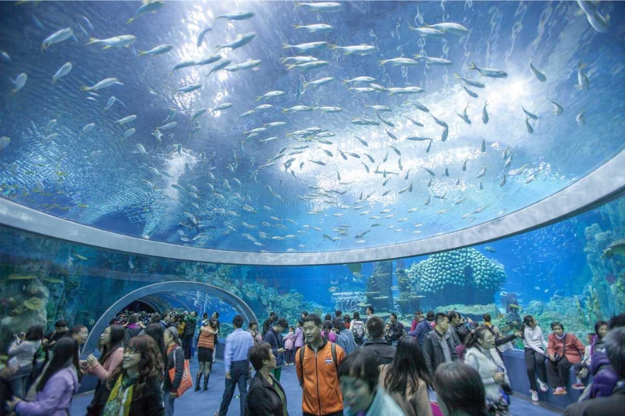 The Oceanographic Museum is the most famous attraction in the Institute