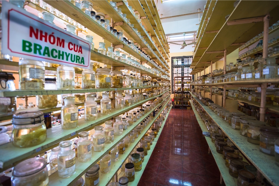 There are thousands of specimens carefully preserved in the Institute