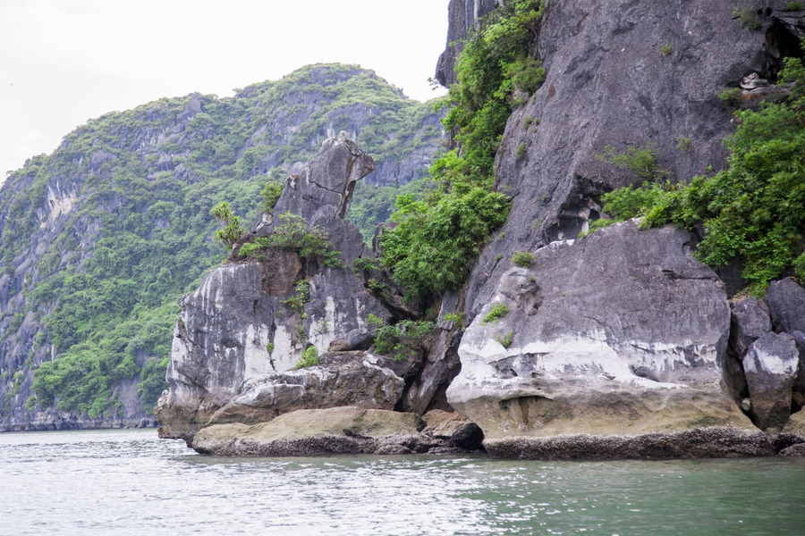 Stone Dog Islet looks like the head of a dog gazing upward