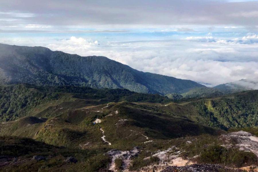 Mount Tahan in Taman Negara