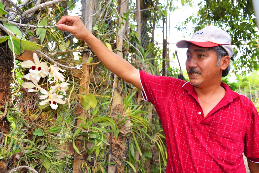 The orchids are nurtured by highly experienced artisans