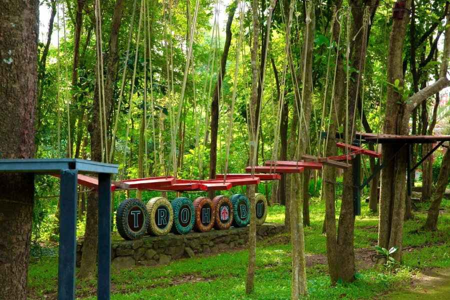 There are many beautiful landscapes where you can take check-in photos