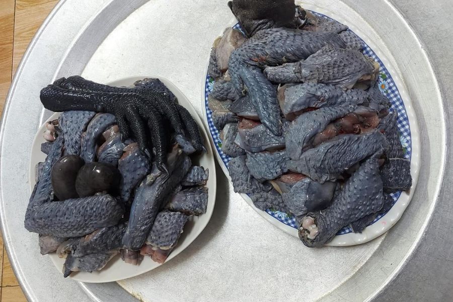 Black Chicken in Yen Bai