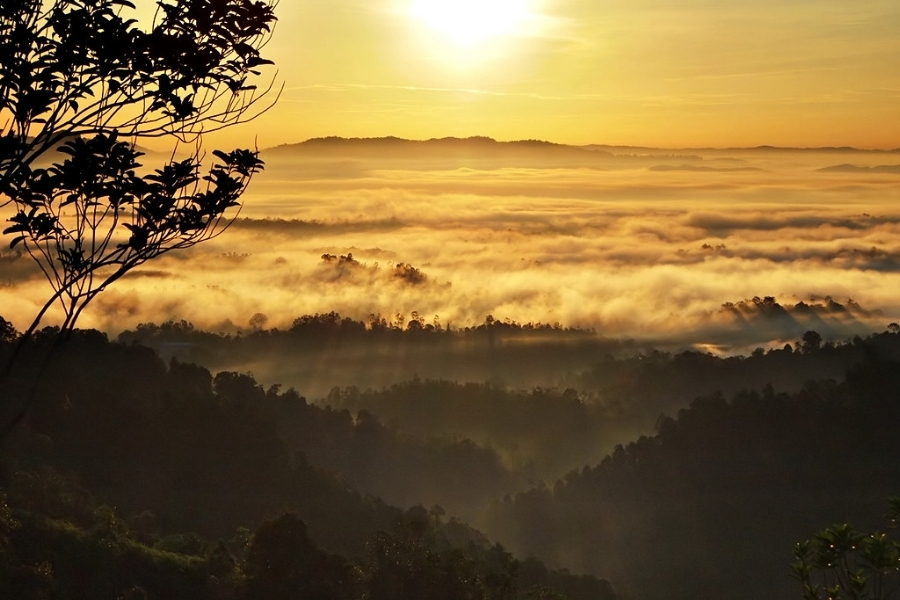 The magical view from the summit of Panorama Hill