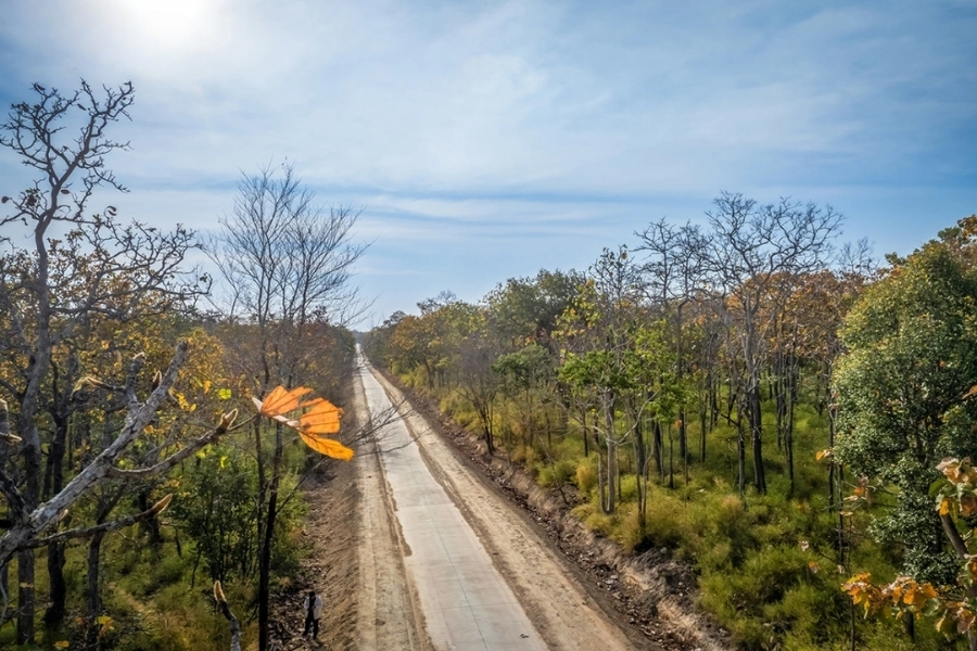 Yok Don National Park is the only place in Vietnam that preserves the dipterocarp forest ecosystem