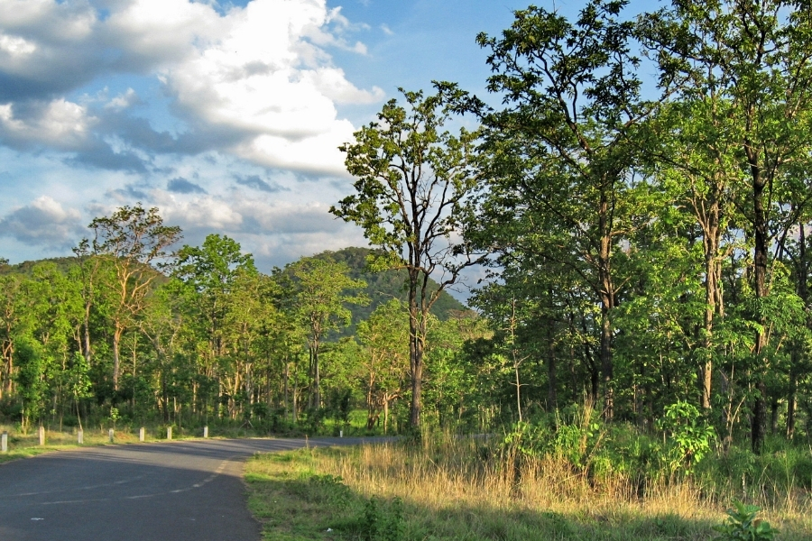 Each season in Yok Don National Park has its own beauty
