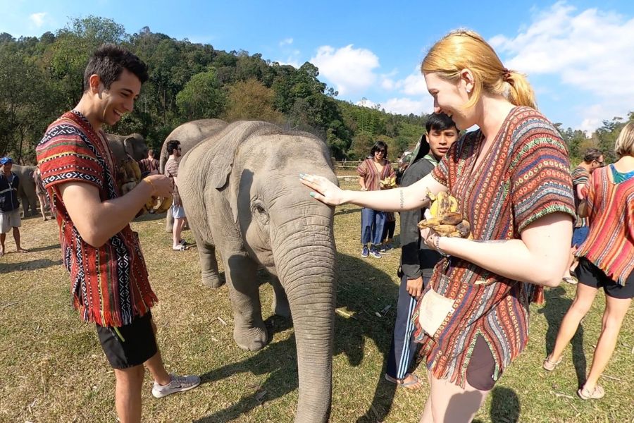 Ethical and Sustainable Elephant Sanctuary in Chiang Mai