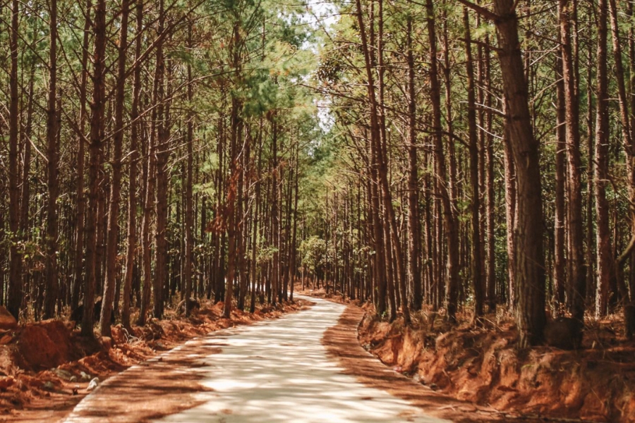 Even the entrance path alone is already stunning