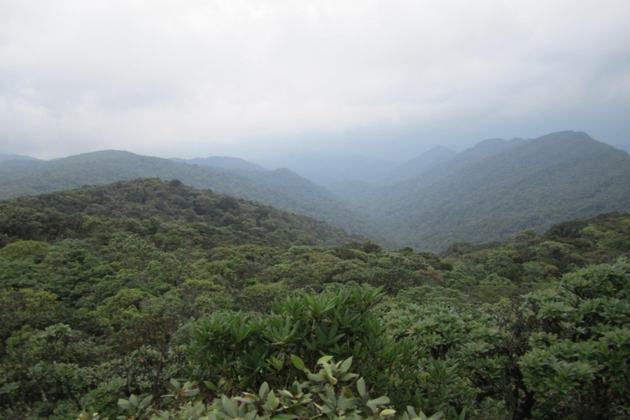The view of the Truong Son range from the Kon Ka Kinh Summit