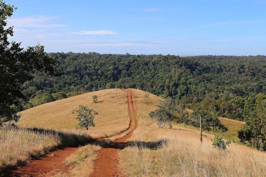 Mondulkiri is the sun-soaked and windswept highland of Cambodia