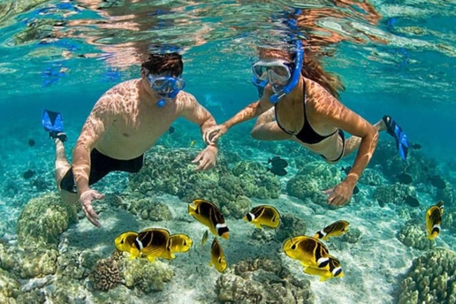 Snorkeling at Hon Tam Island