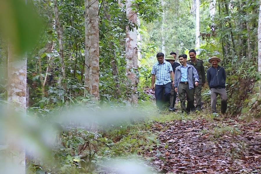 kim hy nature reserve