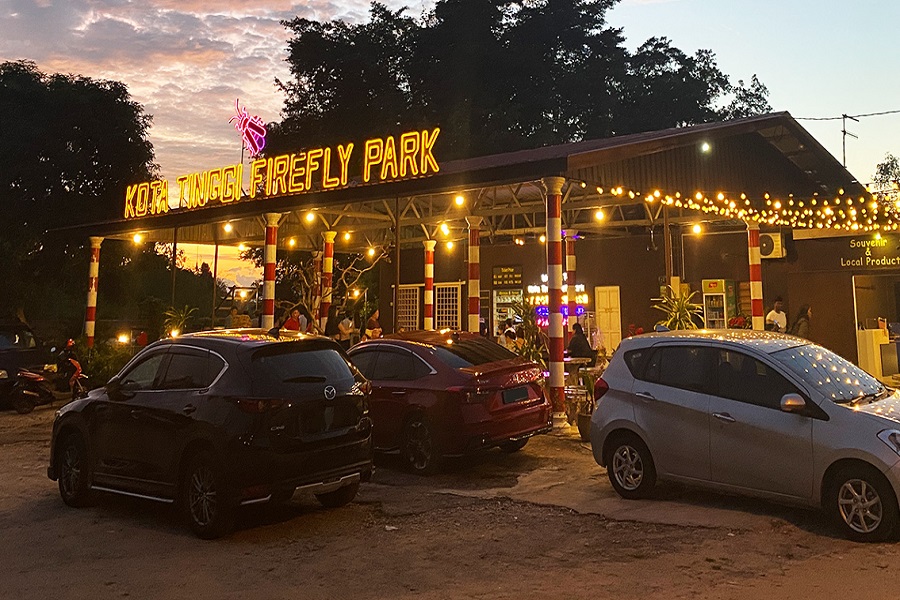 In the afternoon, you pack up and head to the countryside for Kota Tinggi Firefly Park