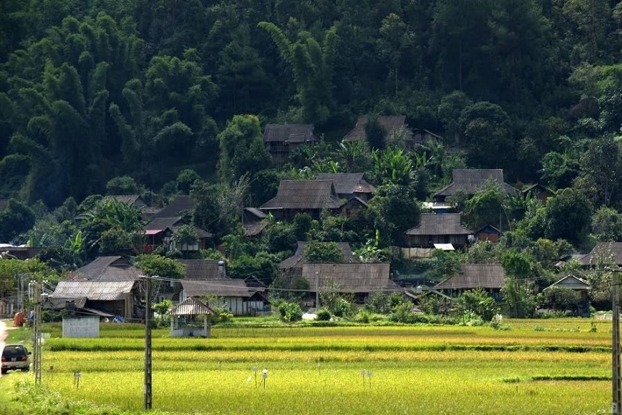 The traditional Thai houses surrounded by green gardens