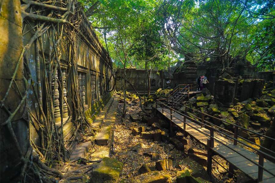 The alluring beauty of walls overtaken by nature at Beng Mealea