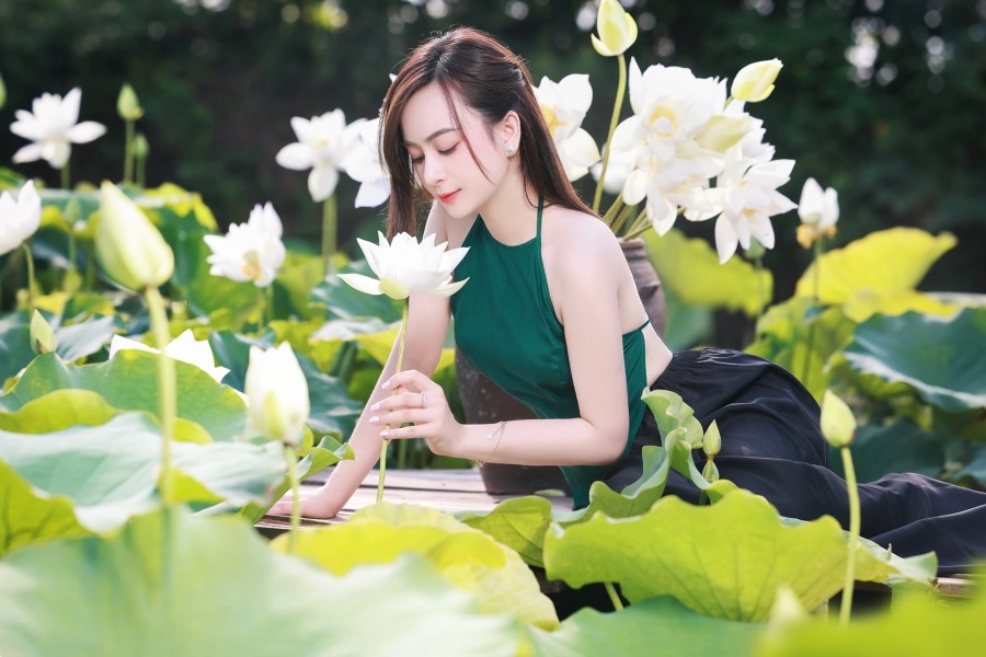 lotus concept photoshoot