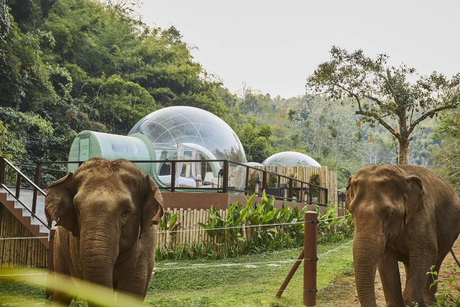 Anantara Golden Triangle Elephant Camp & Resort