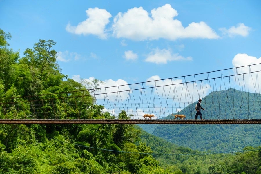 What to do in Mae Charim National Park