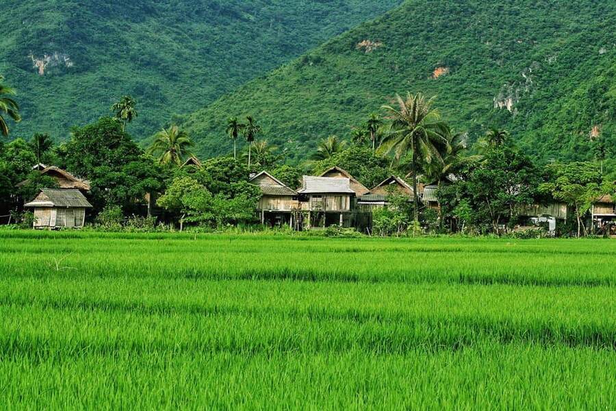 Paddy fields and stilt houses of the locals in Mai Chau. Photo: Vietnam Discovery Travel