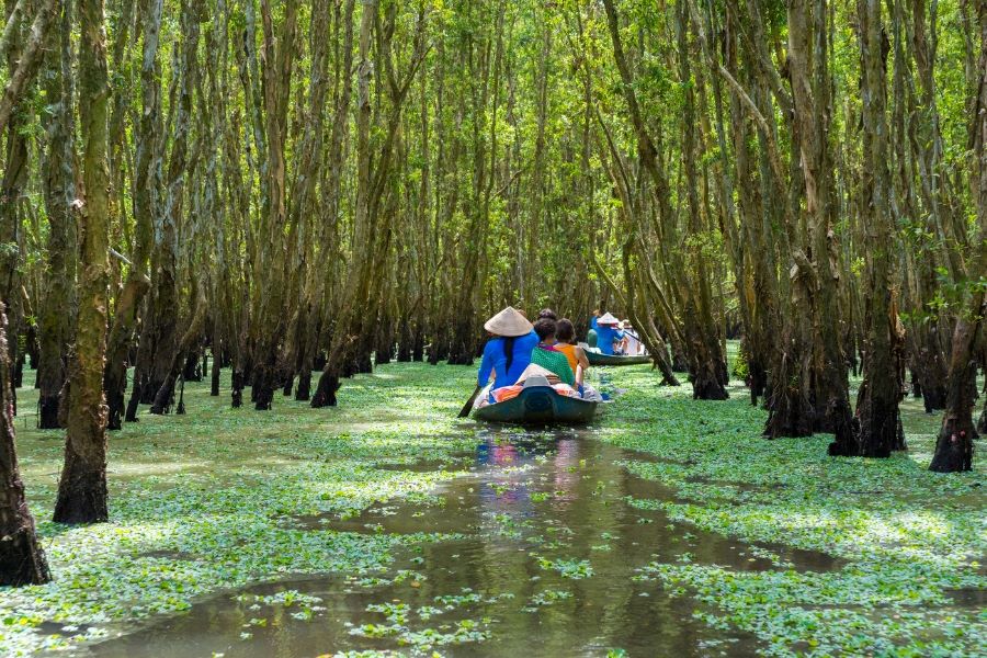 The Mekong Delta in Vietnam