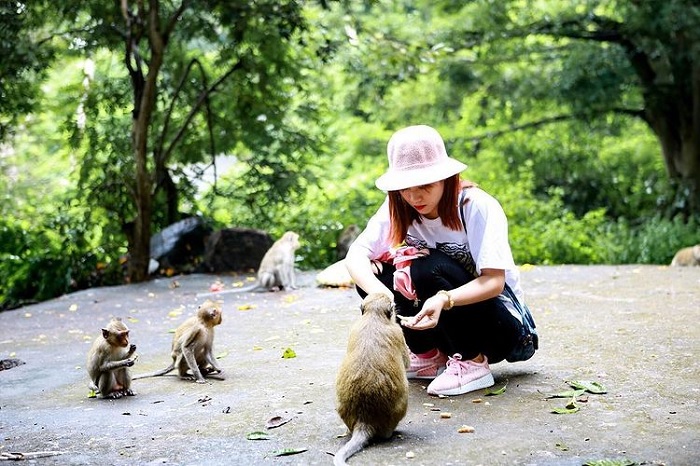 Feeding the monkeys on Monkey Island