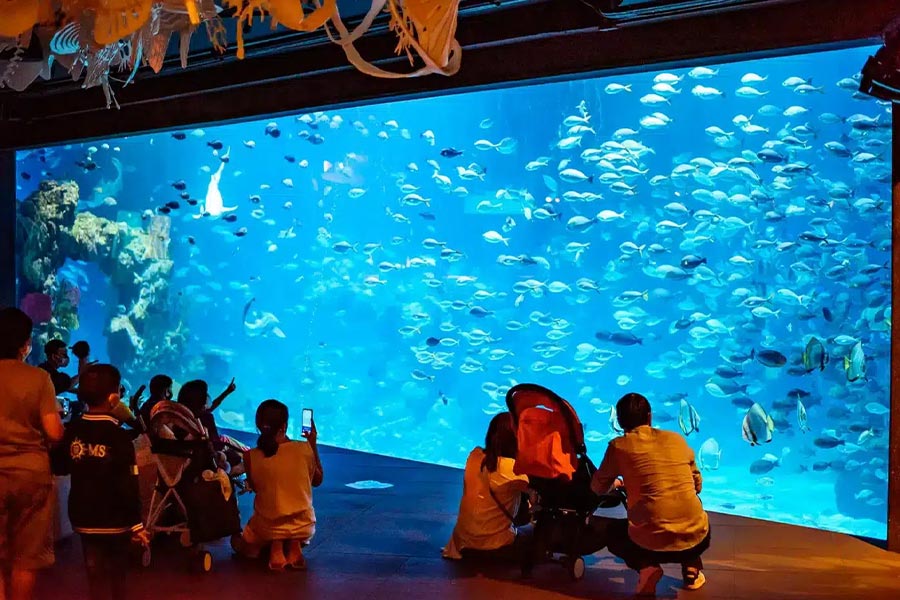 Phuket Aquarium