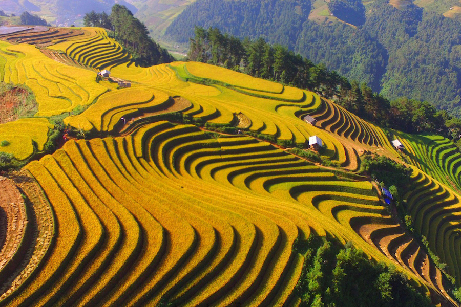 The terraced fields is an iconic of Mu Cang Chai - Photo: mrlinhadventure