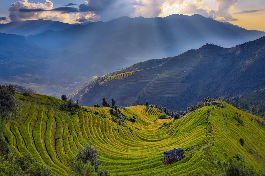 Mu Cang Chai rice terraces are recognized as a National Relic and one of Vietnam’s most unique tourist attractions