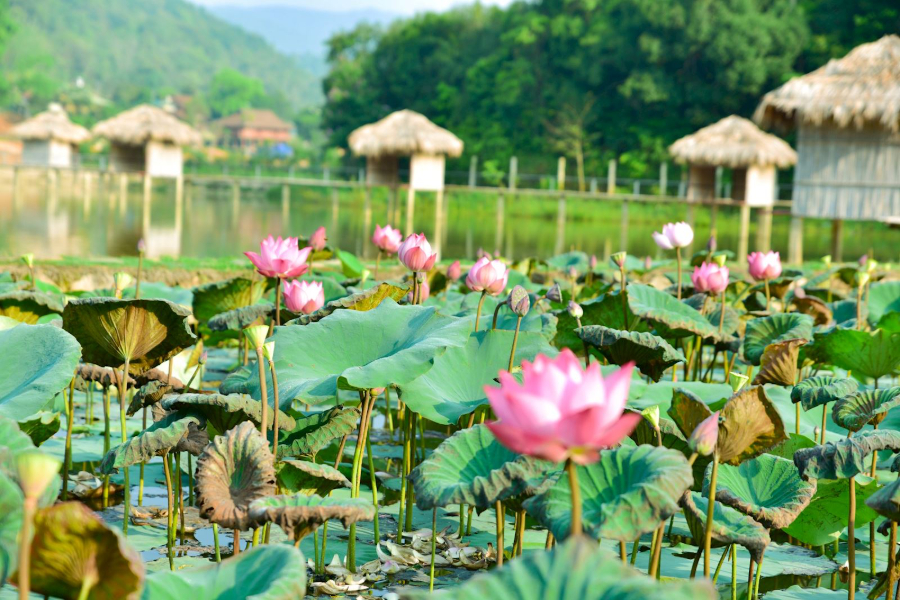 The scenery along the way is extremely stunning. Source: Web Dien Bien Tourism Portal