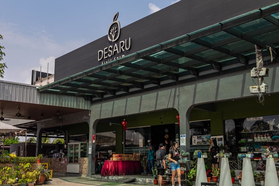 Your stop on Day 5 of South Malaysia itinerary is the Desaru Fruit Farm