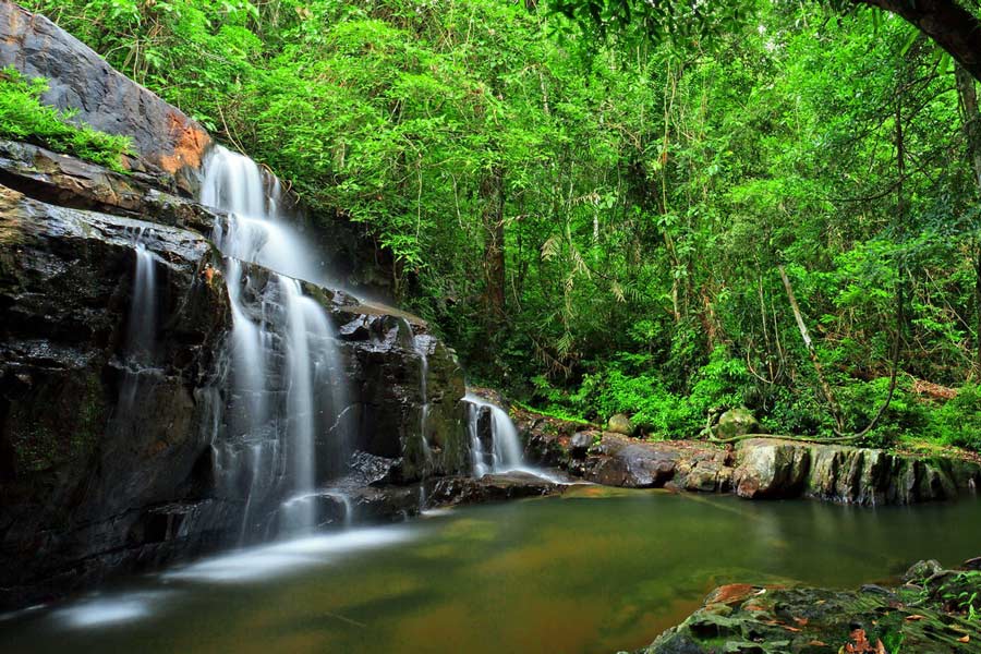 Best time to visit Pang Sida National Park