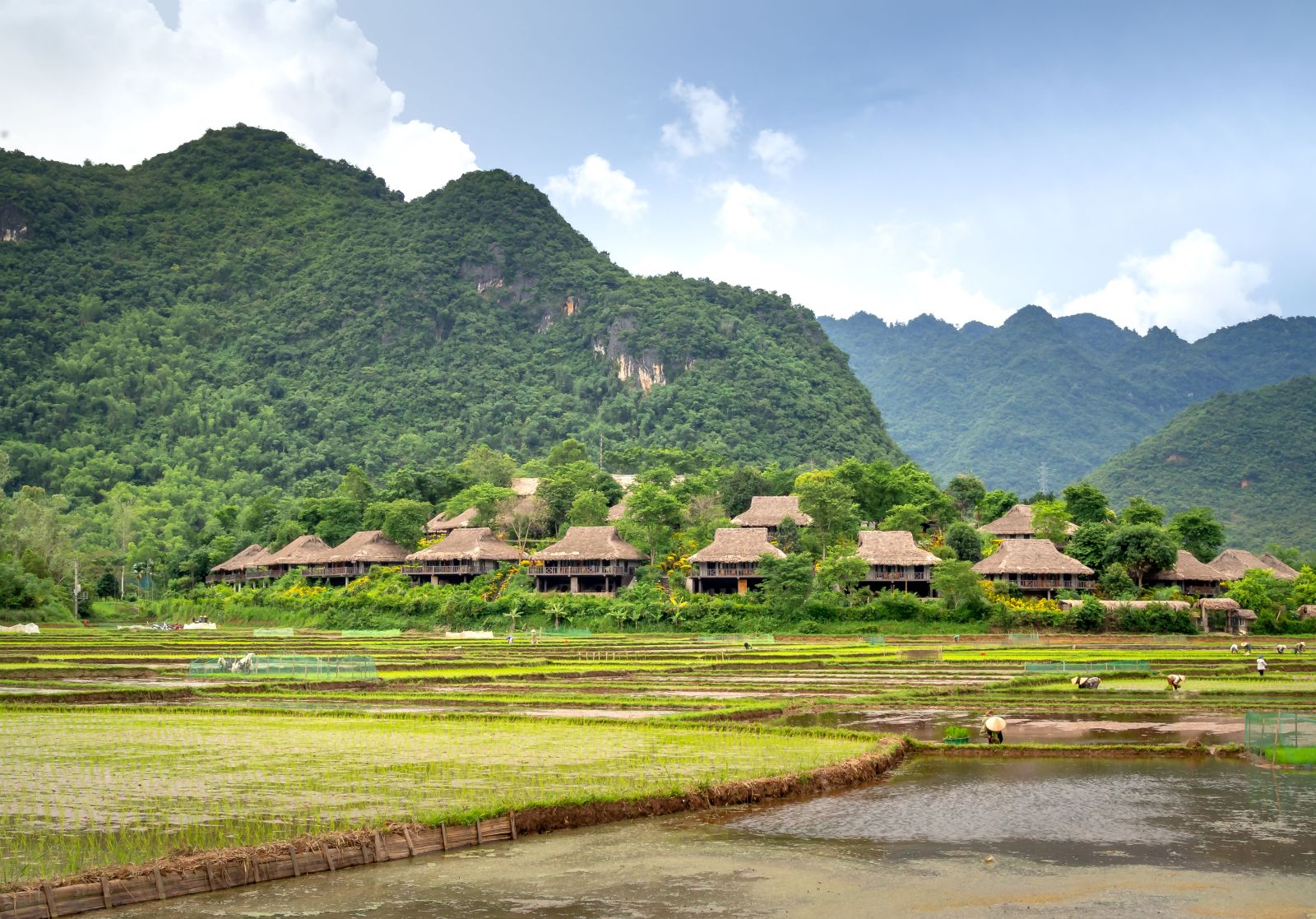 A peaceful rural village nestled among lush mountains and rice fields under a clear blue sky.