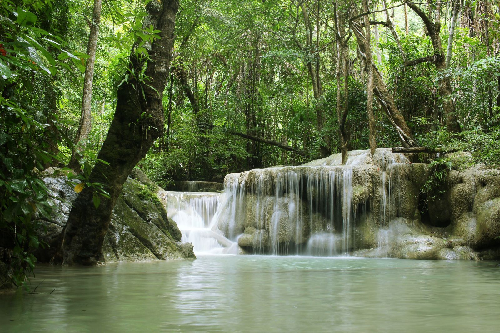 The stunning waterfall is surrounded by lush green trees in the forest, with a clear lake
