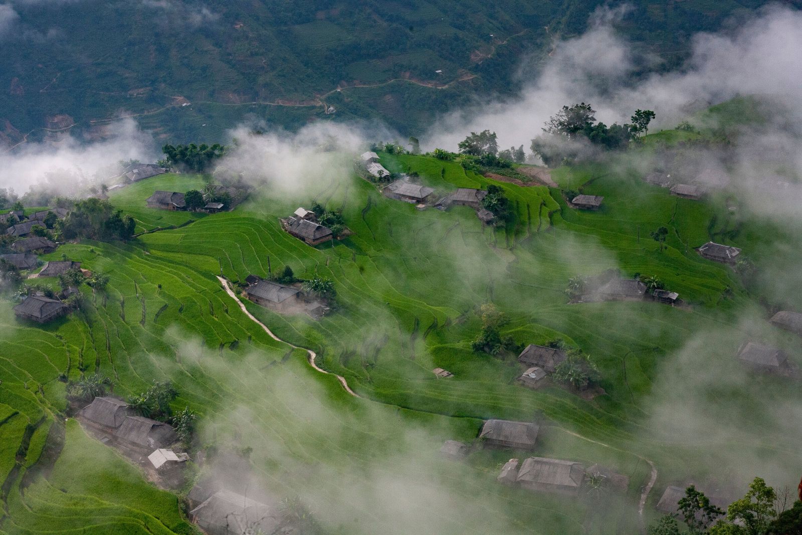 The spectacular aerial view of the lush green terraced rice fields shrouded in mist showcases the beauty of the countryside