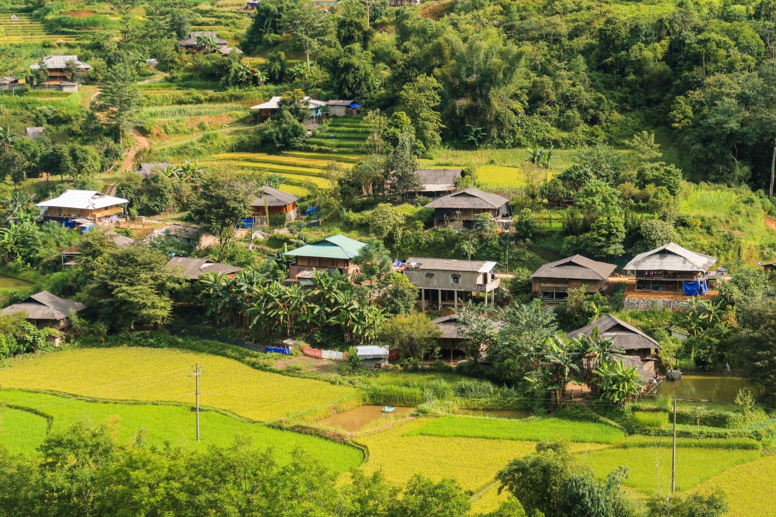 A stunning aerial view of the Ha Giang countryside, showcasing traditional houses and vibrant rice fields.