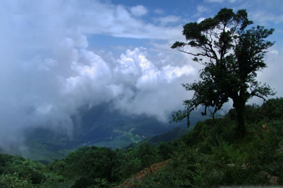 Standing on the top of Phia Oac Mountain, visitors can see the majestic mountain scenery. Source: Gi cung co