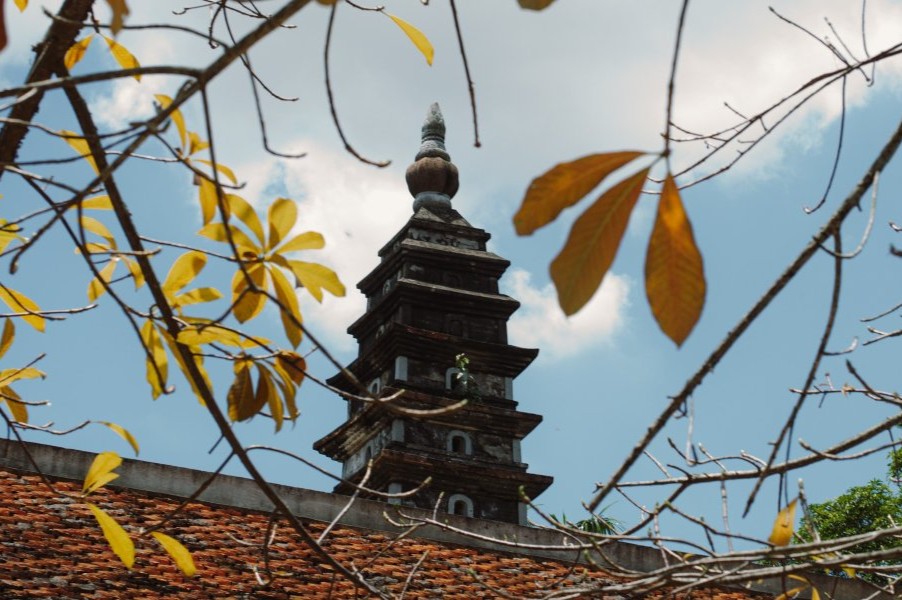Pagoda tower through seasonal branches