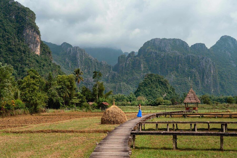 rice fields in Vieng Tara Villa, Laos