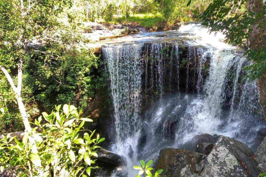 Start your day to get into the beauty of the National Park